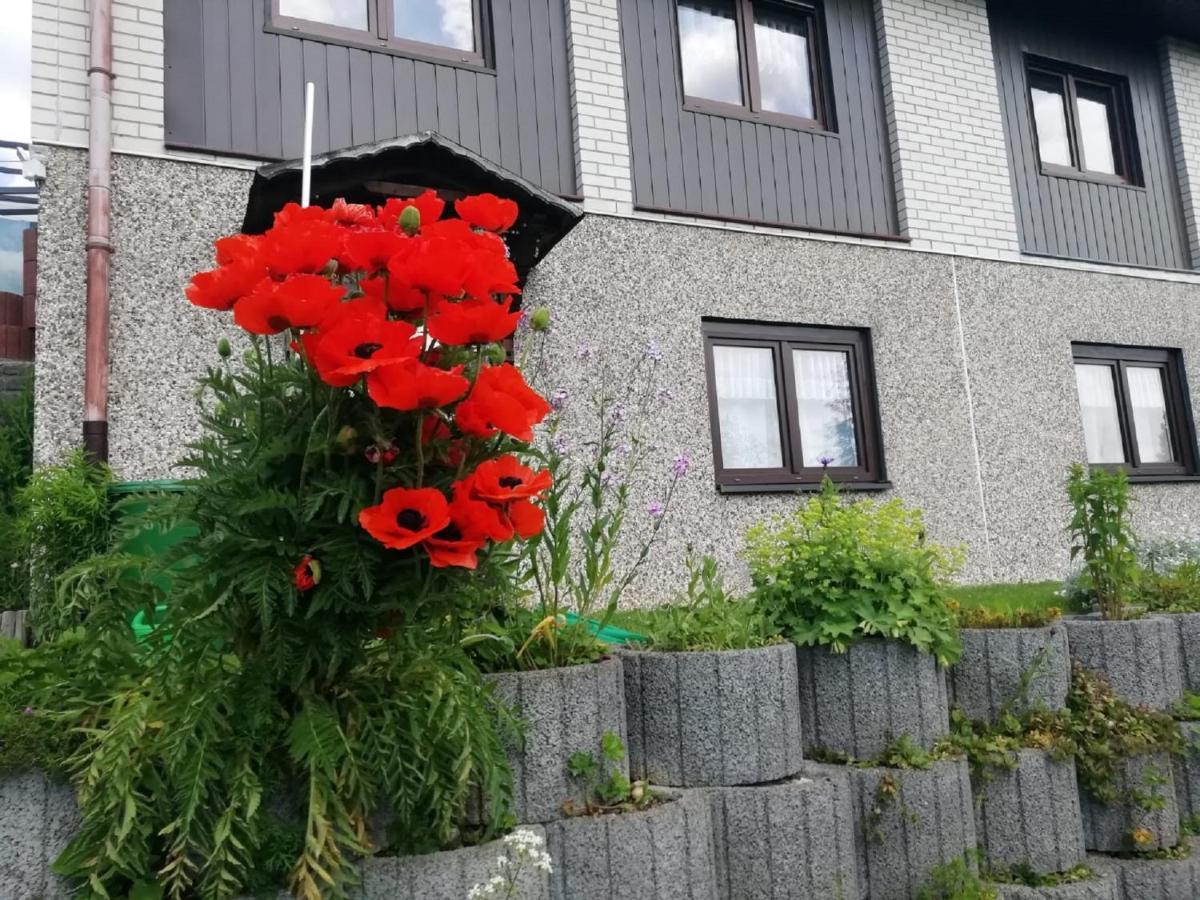 Ferienwohnung Suetovius Oberwiesenthal Eksteriør bilde